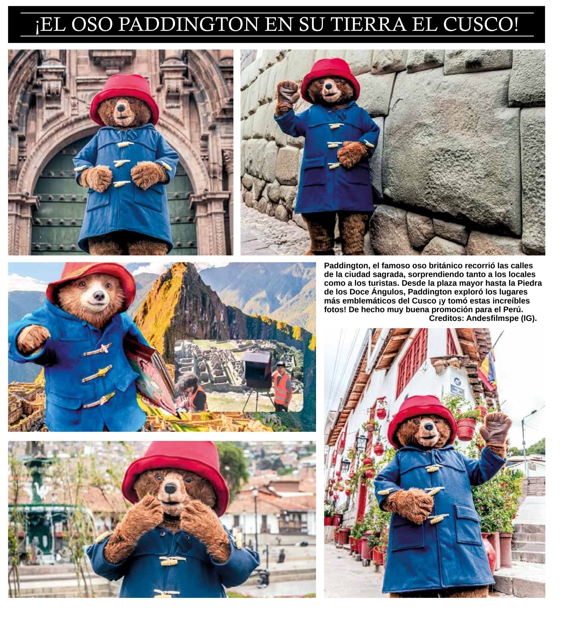 OSO PADDINGTON EN SU TIERRA EL CUSCO