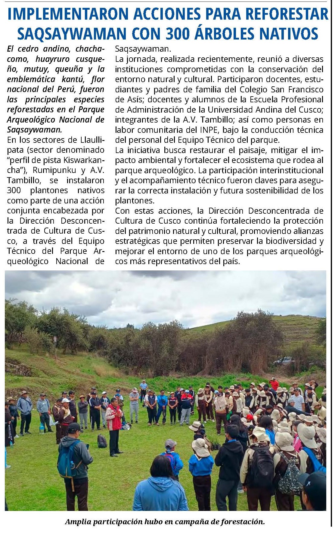 IMPLEMENTARON ACCIONES PARA REFORESTAR SAQSAYWAMAN CON 300 ÁRBOLES NATIVOS